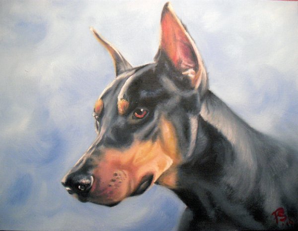 Доберман пинчер карандашом