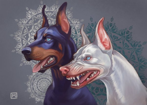 Мифические Доберманы Добер