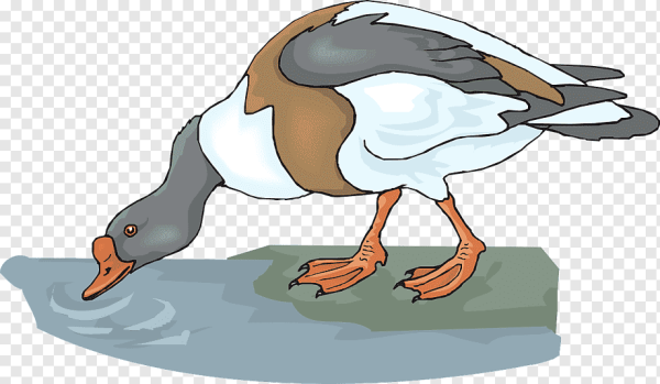 Гусь иллюстрация