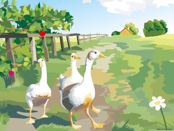 Чешские гуси иллюстрации