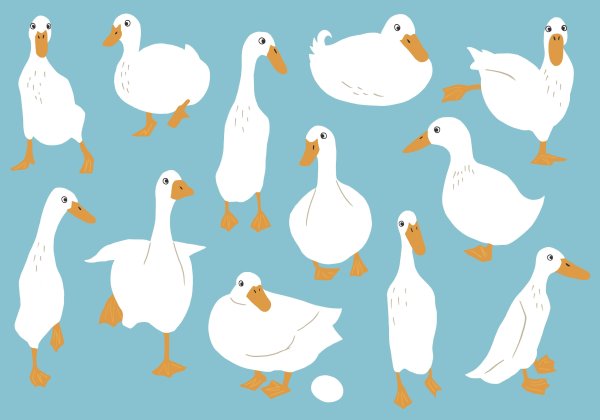 Гусь раскраска для детей