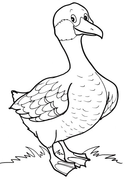 Гусыня на льду