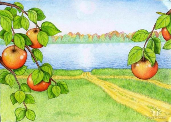 Яблоко нарисованное на прозрачном фоне