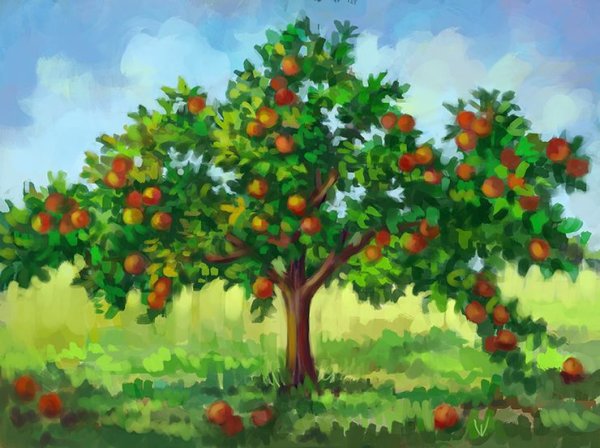 Фруктовые деревья с круглой кроной