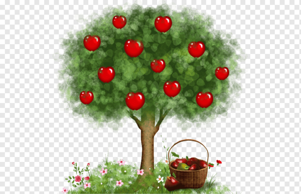 Яблоня референс