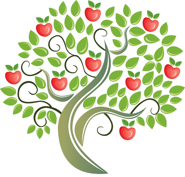 Лимонное дерево раскраска