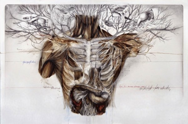 Художник-иллюстратор Nunzio paci