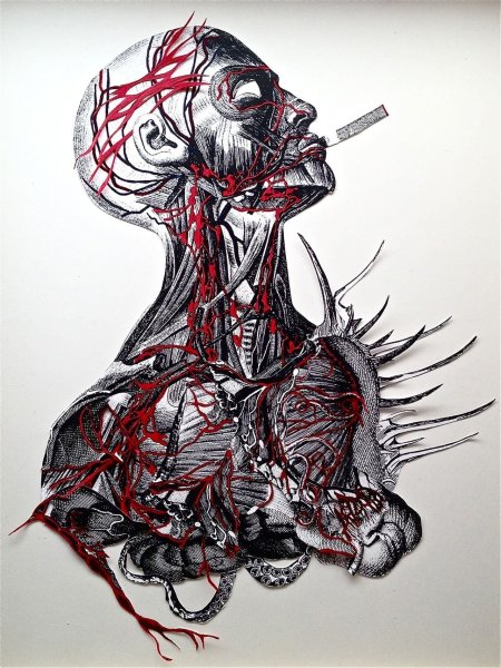 Анатомическое рисование