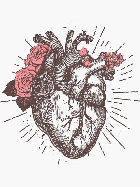 Фон для презентации по анатомии человека