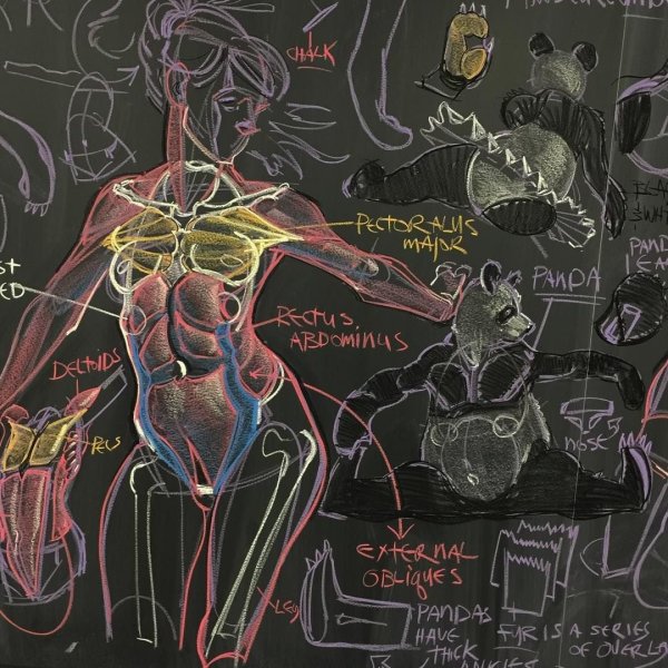 Мышцы рисунок