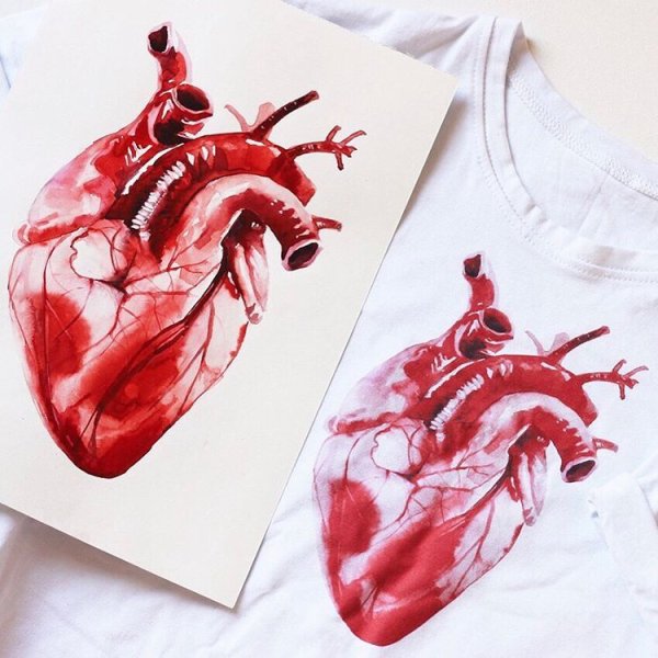 Анатомические скетчи