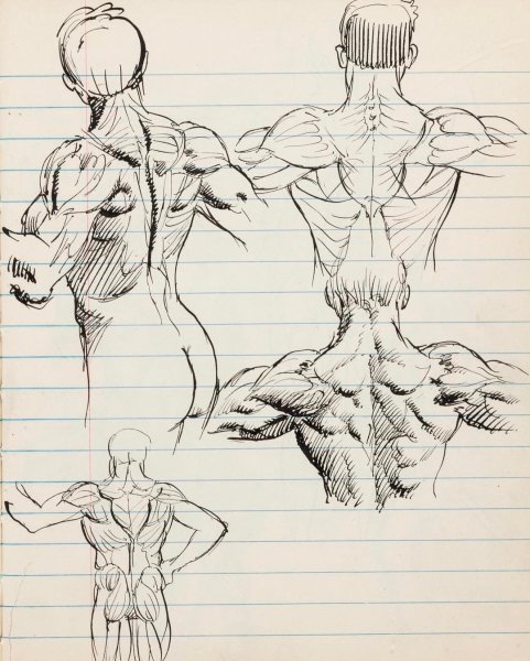 Врачебные зарисовки анатомии