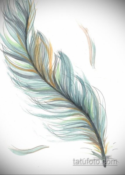 Перо рисунок