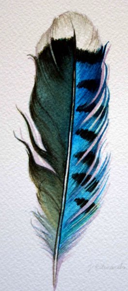Перья птиц акварелью