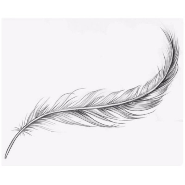 Перышко эскиз
