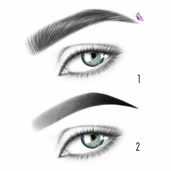 Иллюстрации мастер бровист