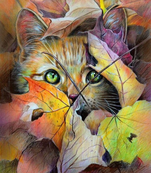 Красивые нарисованные девушки