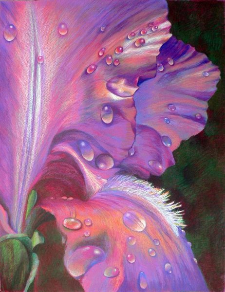 Кэти Липскомб (Katy Lipscomb) рисунки