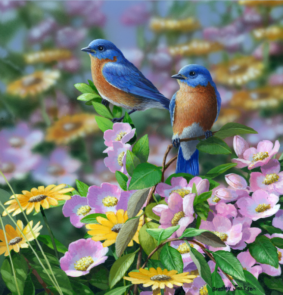 Художник Bradley Jackson