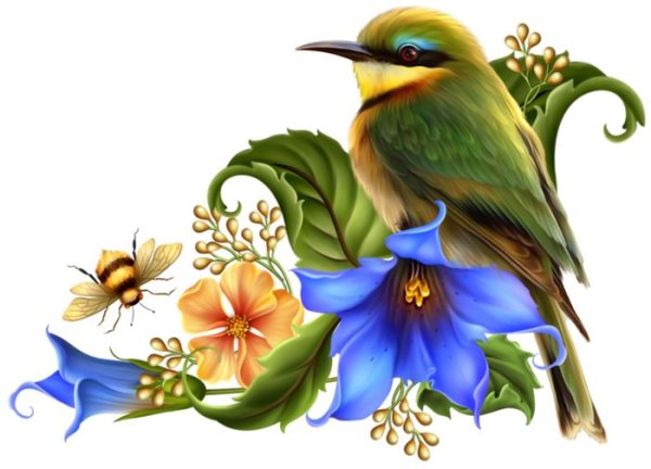 Barnali Bagchi птицы