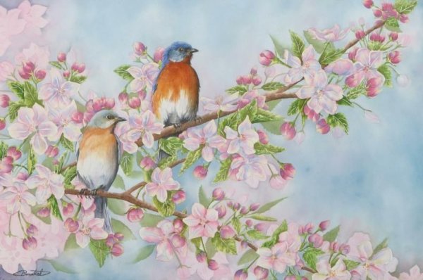 Птицы на цветущей ветке живопись