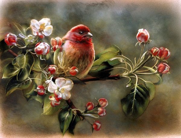 Rebecca Latham картины