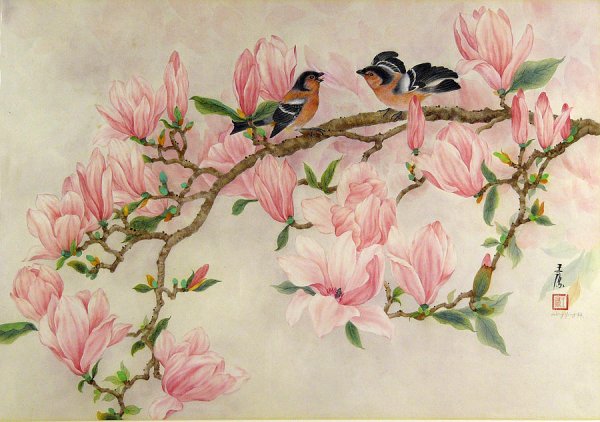 Птица на ветке магнолии