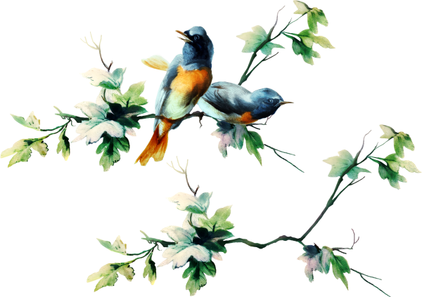 Весенние птицы на прозрачном фоне