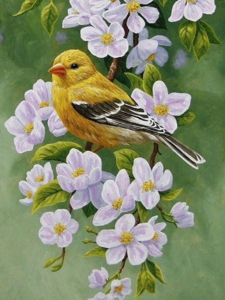 Птички живопись