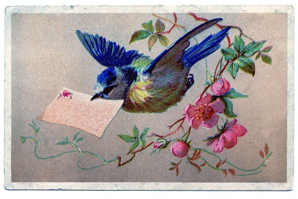 Птицы для декупажа