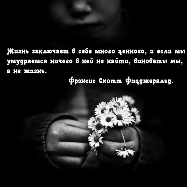 Красивые цитаты