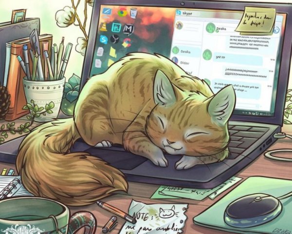 Рисунки для срисовки девуш