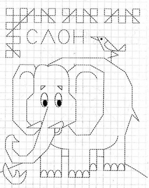 Рисунки по клеточкам