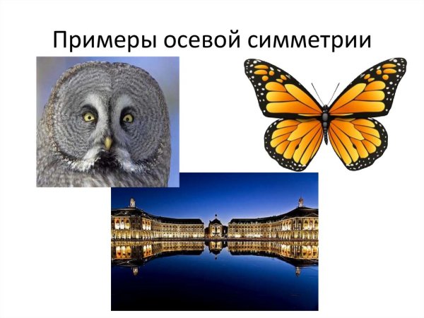 Чертеж осевой и центральной симметрии