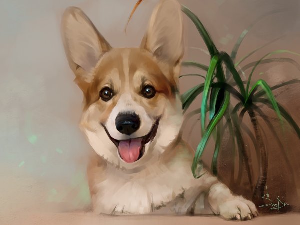 Красивые рисунки