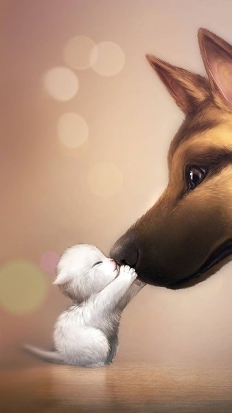 Нарисовать шпица карандашом