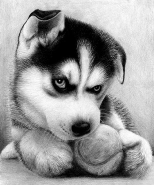 Ретривер референс