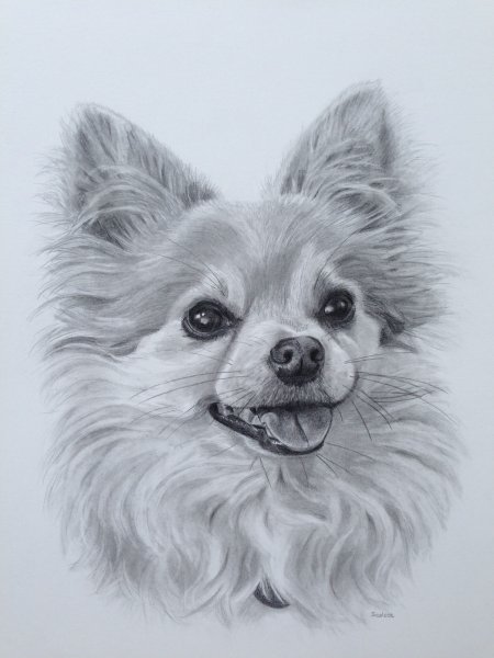 Милые мультяшные животные