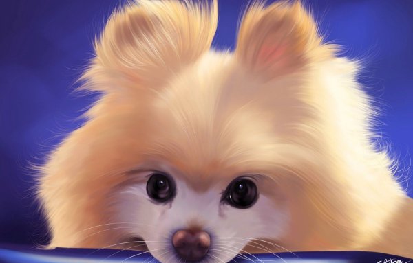 Животные карандашом