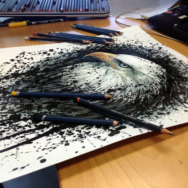 Dino Tomic рисунки