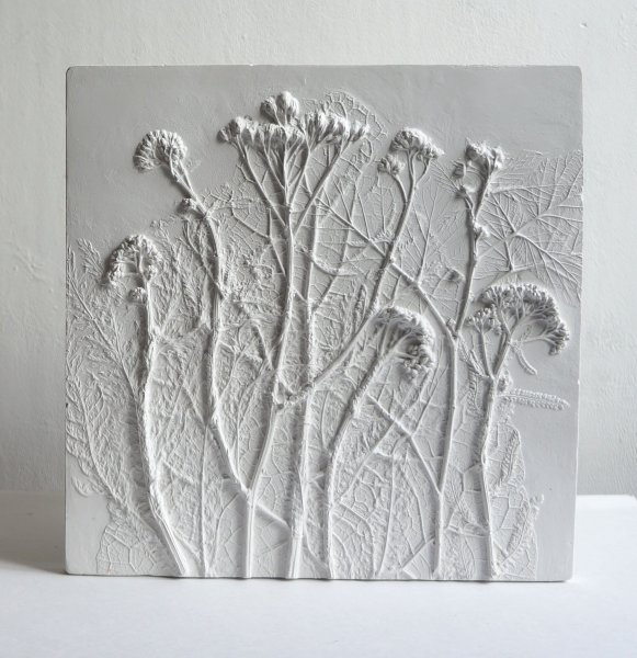 Наутилус Ким барельеф