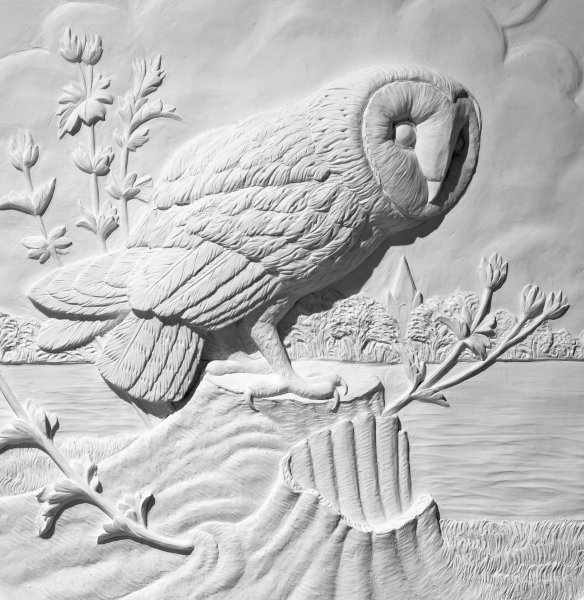 Гербарии Рейчел Дейн