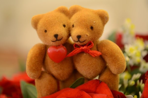 Медведь Тедди раскраска