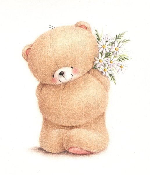 Мишка рисунок для срисовки