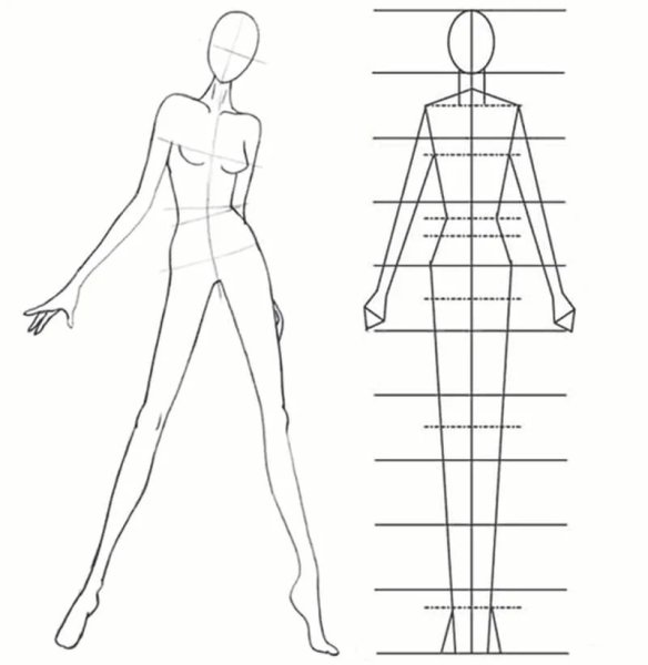 Зарисовки тела