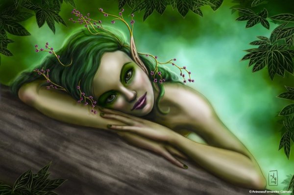 Кикимора Болотная мифология