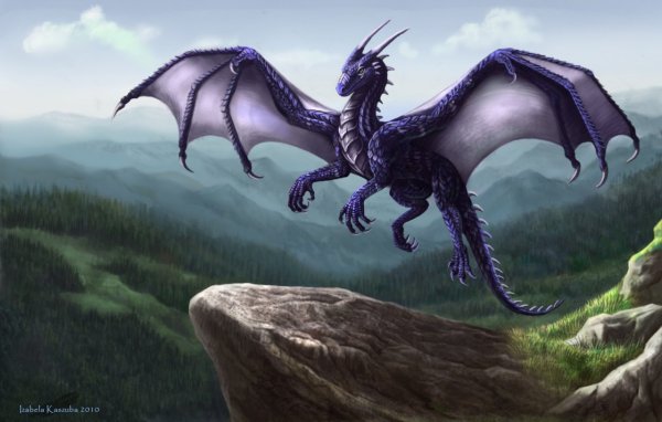 Дракон рисунок