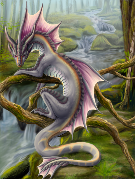 Драгон венгерская хвосторога