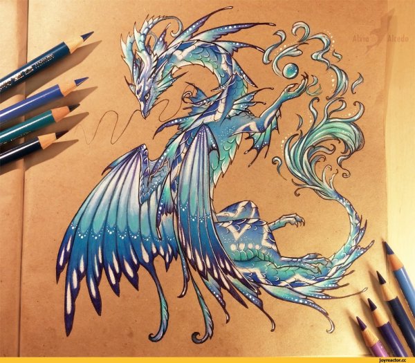 Alvia Alcedo рисунки