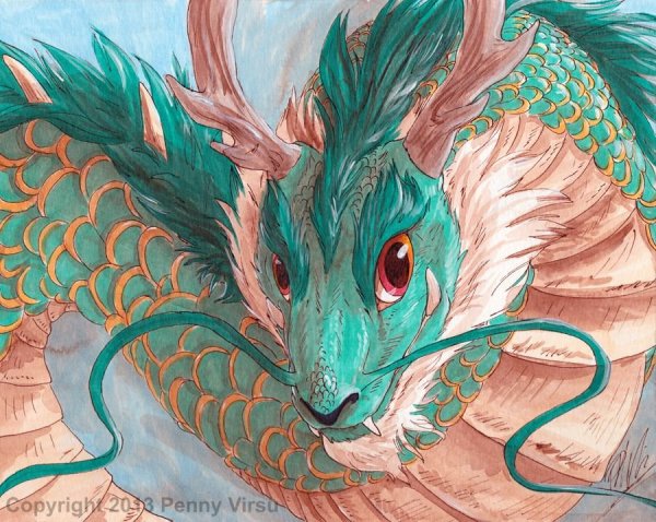 Аэсоннэ драконица